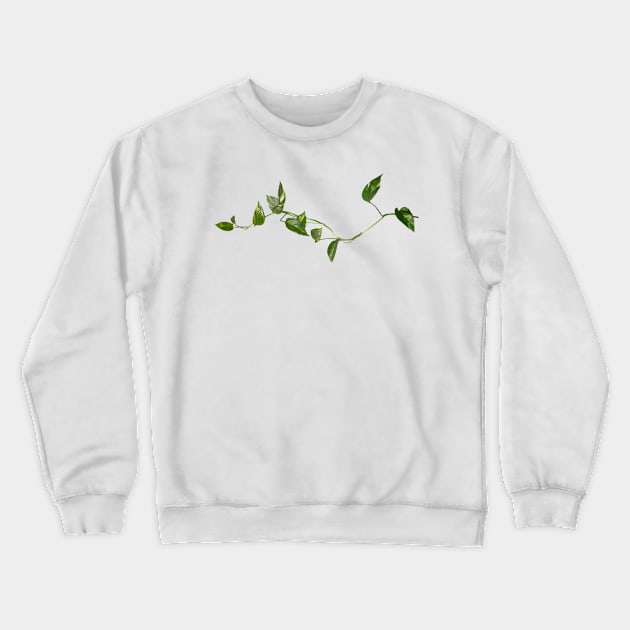 PLANT Crewneck Sweatshirt by ghjura